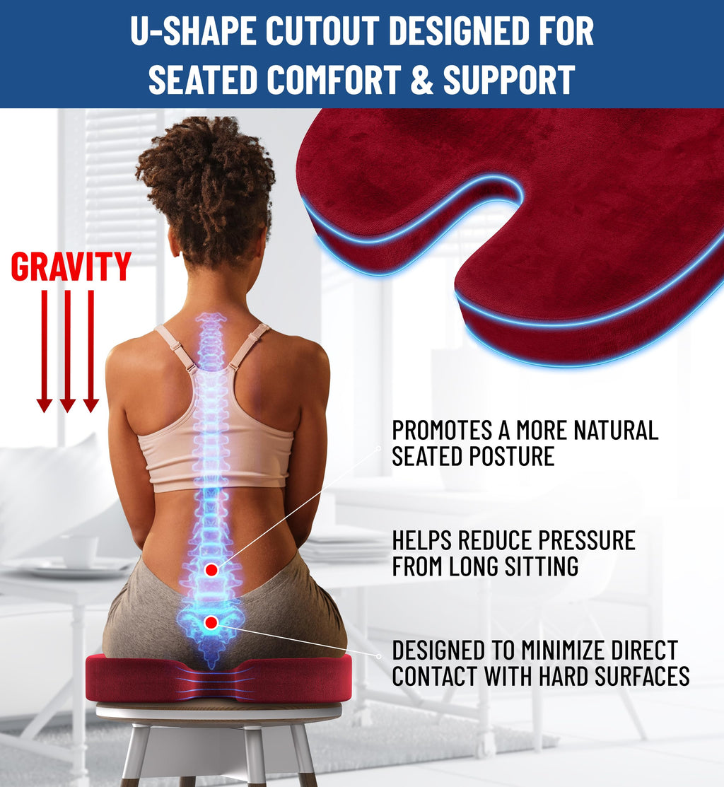 Everlasting Comfort Doctor Recommended Memory Foam Seat Cushion for Office Chairs & Car Seat - Ergonomic Office Desk Accessories for Tailbone Pain Relief, Sciatica & Back Support